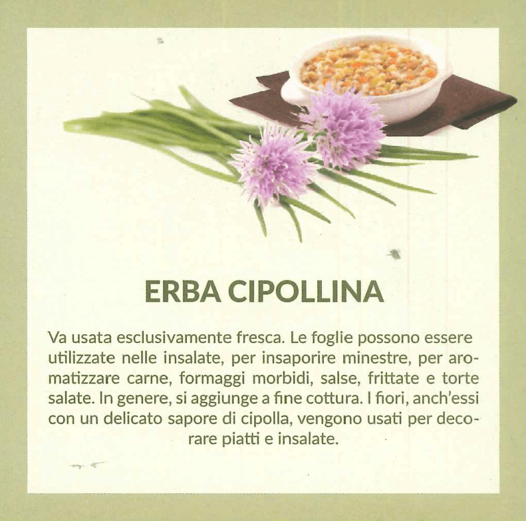 erbacipollina