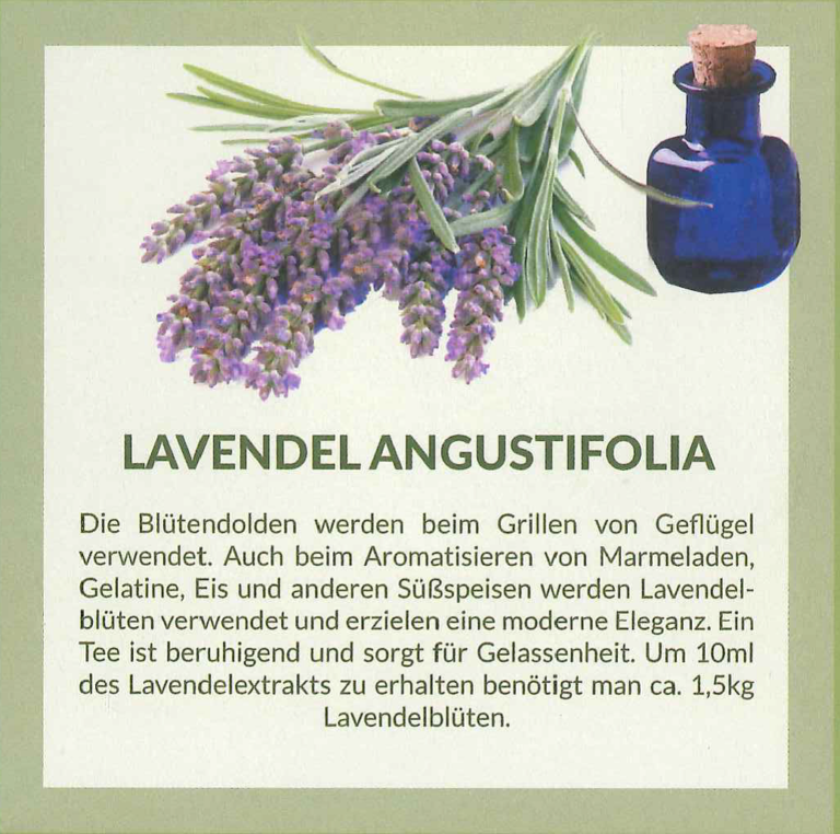 lavendel