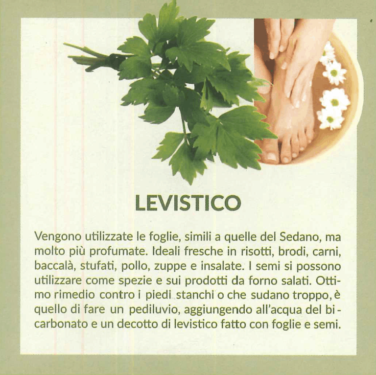 levistico