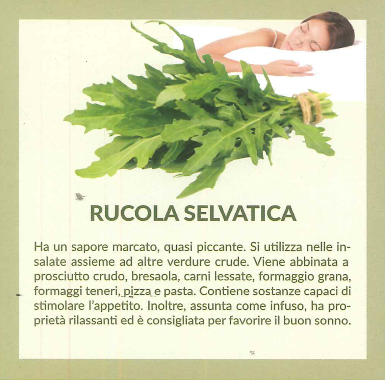 rucola