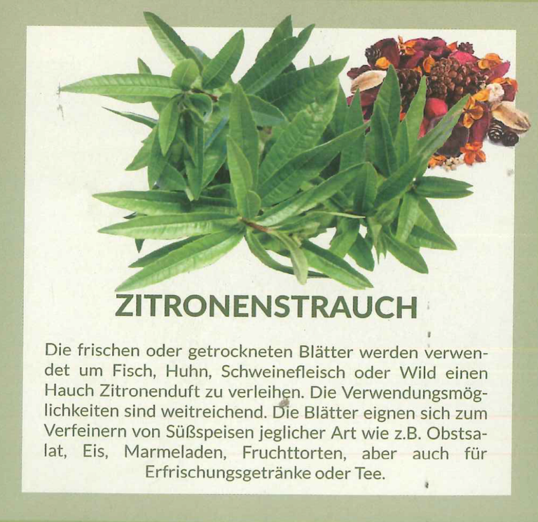 zitronenstrauch